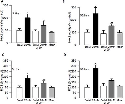 Protein Palmitoylation Is Necessary For Activation Of Nox And Ros