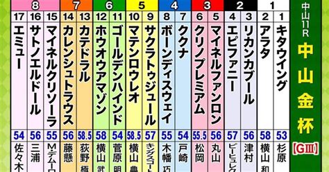 中山金杯出走馬全頭診断の振り返り｜関西暇人