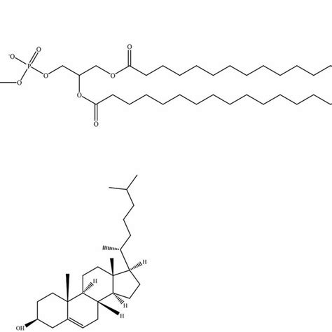 Structures Of A Distearoylphosphatidylcholine Dspc And B