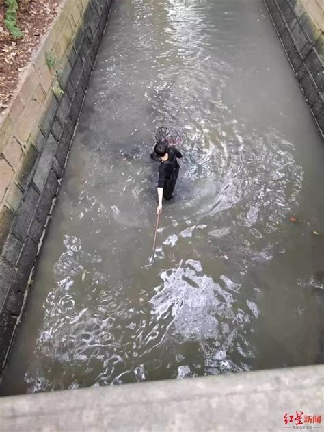 救1隻流浪狗 川高校放乾護校河 獲讚「最好的教育」 神州生活圈 中國 世界新聞網