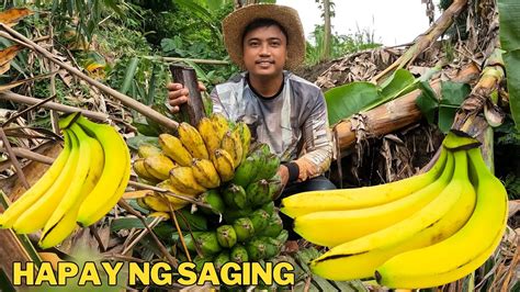 HAPAY NG SAGING At PAGLILINIS NG PALIGID NG TALUNGAN YouTube