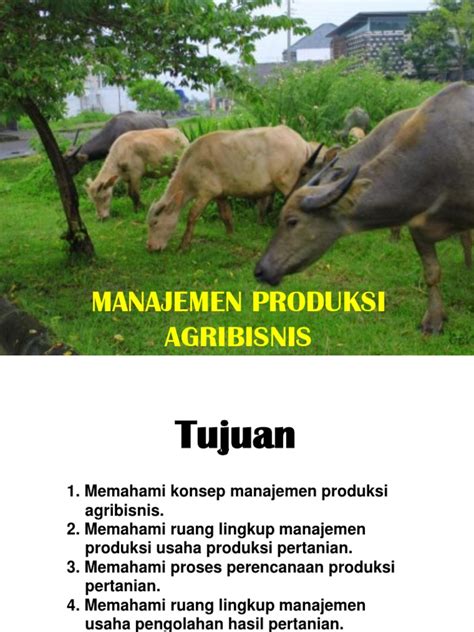 4b Manajemen Produksi Agribisnis Pdf