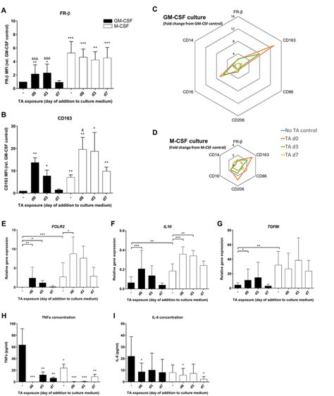 Schematic Representation Of Macrophage Phenotypes And Their Fr β