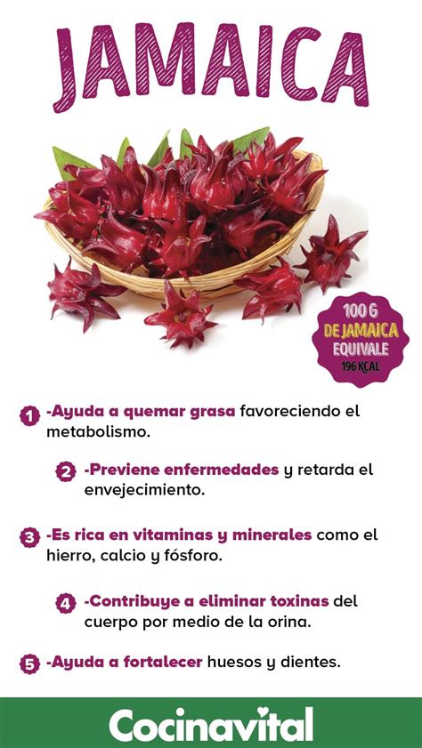 Beneficios De La Flor De Jamaica Para Nuestra Salud Cocina Vital