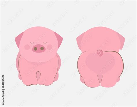 Cute Pig Front And Back Vector Funny Piglet Cartoon Year Of The Pig In