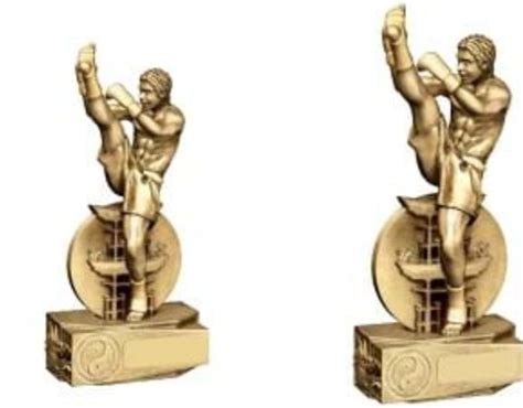Up To 50 Off Resin Kickboxing Trophy Award Rm982