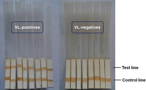 Representative Image Of Dipstick Immunochromatographic Test Dipstick Download Scientific