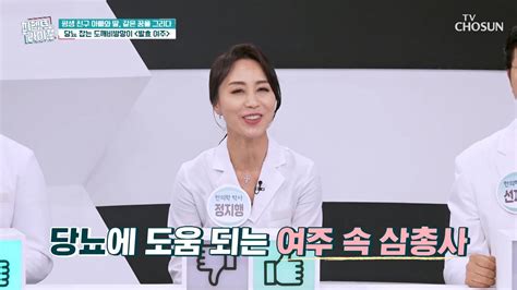 식물 인슐린 성분으로 당뇨 잡는데 탁월한 효자템~ Tv Chosun 20220928 방송 Zum Tv