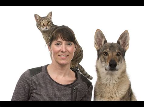 Vuurwerkangst Bij Honden Met Drs Eline Teygeler YouTube