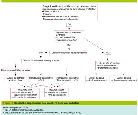 Infections Li Es Aux Cath Ters En R Animation Recommandations Pour La