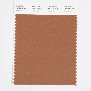 Pantone 18 1125 TCX Swatch Card Pecan Pie Design Info