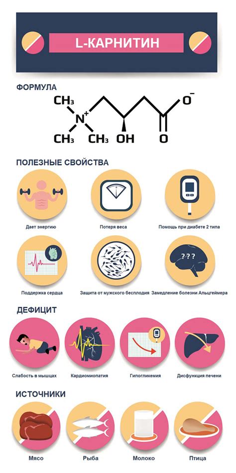 Какой Л-карнитин лучше выбрать: рейтинг на 2018 год