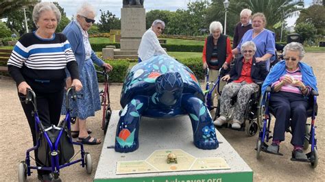 Care Home Residents Artistically Inspired By Tortoise Trail Bbc News