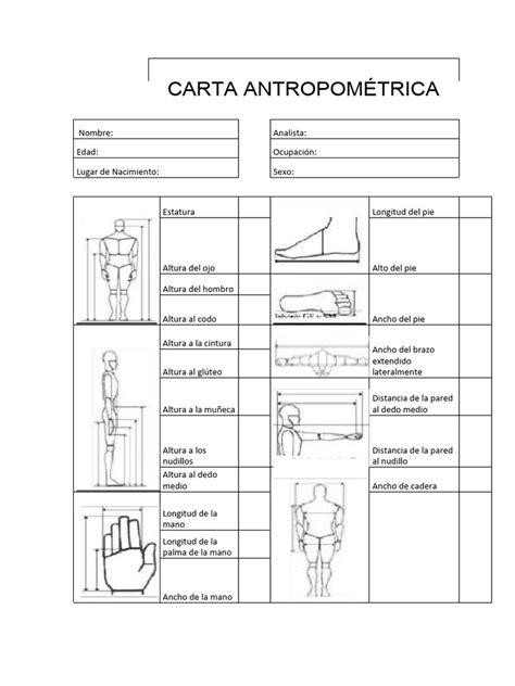 Carta Antropométrica Pdf