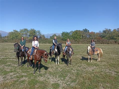 Passeggiate A Cavallo Canavese A Partire Da 25 Freedome