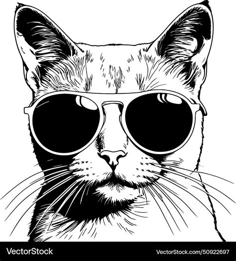 Cat Wearing Sunglasses Funky Fashion St Vector Image On Vectorstock