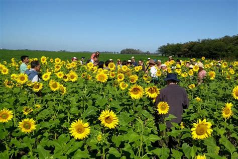 La agroecología es una ciencia