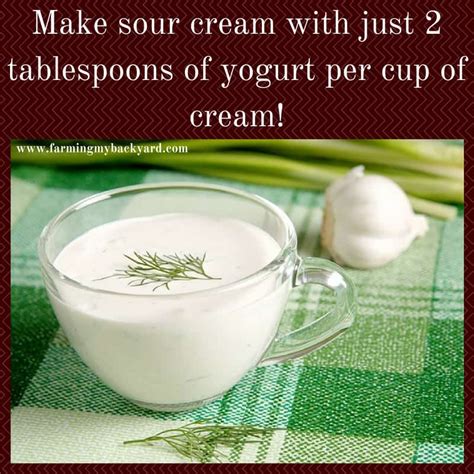 How To Make Sour Cream With Yogurt Farming My Backyard