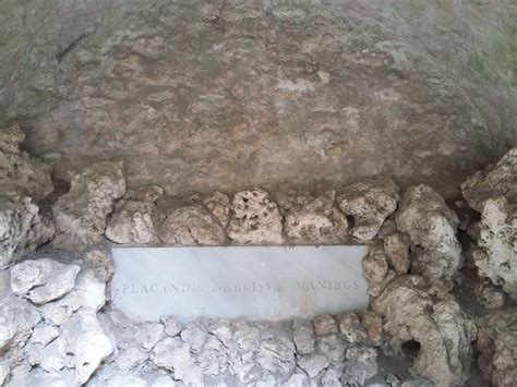 Narcissa’s Tomb – European Romanticisms in Association