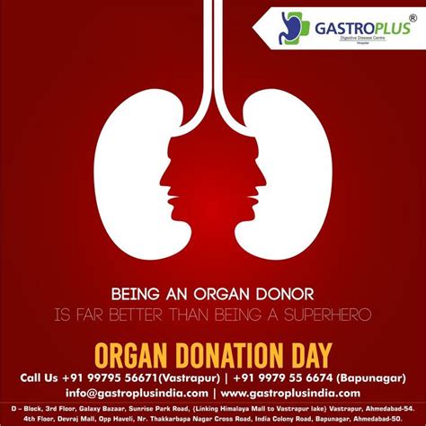 The Power Of Organ Donation Save Lives Today