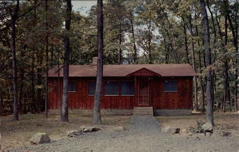 Deluxe Cabin Cacapon State Park, WV