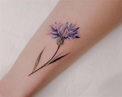 50 Cornflower Tattoo Designs With Meaning Art And Design