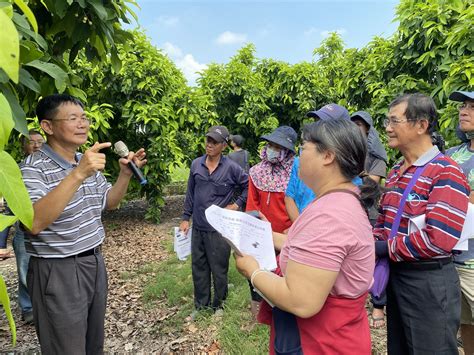 砂質地蓮霧果園應用高醣栽培法催早花成功高雄區農業改良場