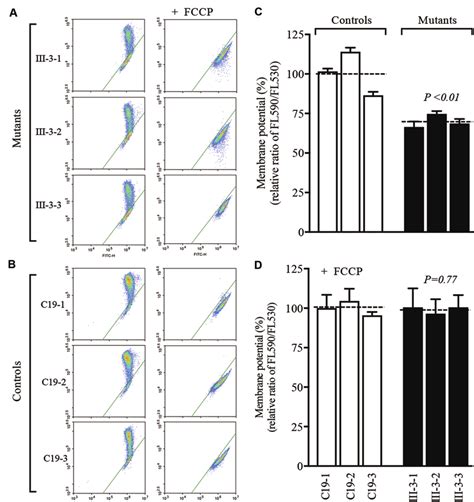 Mitochondrial membrane potential analysis. Mitochondrial membrane ...