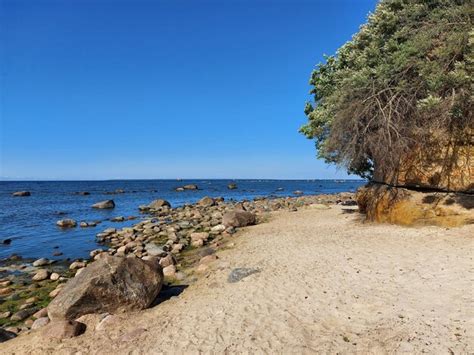 Premium Photo | The baltic sea beach in estonia