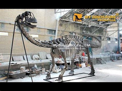 Jurassic Dinosaur Fossil 17M Camarasaurus Skeleton YouTube