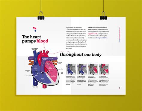 The Heart Poster | Behance