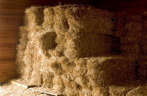 A Guide To Growing Harvesting And Baling Hay Artofit