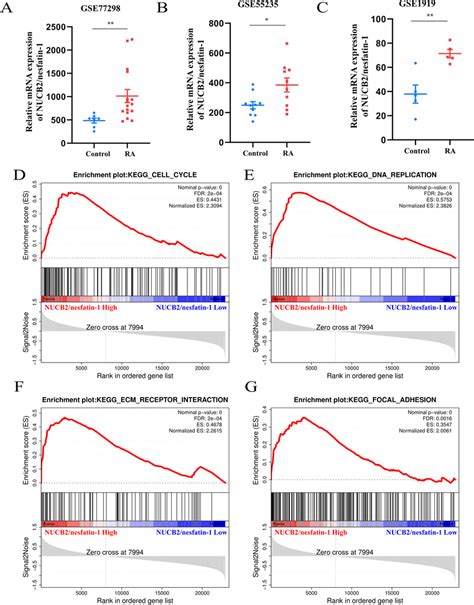 Nucb Mrna Expression In The Synovium Of Patients With Ra Ac The