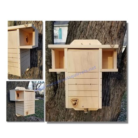 Safe Squirrel Nesting Box Wildlife Rehab Approved Eastern Gray