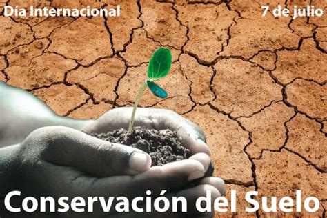 Día Internacional Conservación Del Suelo Días Mundiales