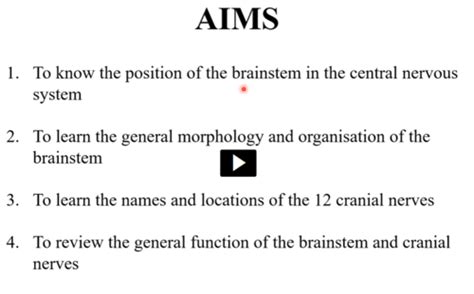 Brainstem And Cranial Nerves Flashcards Quizlet