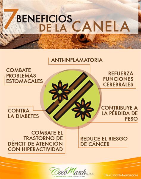 7 Beneficios De La Canela Para La Salud Coco March