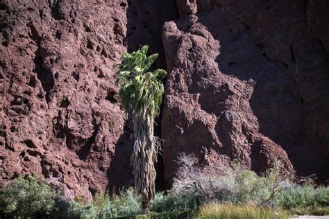 Black Canyon Of The Colorado Free Stock Photo - Public Domain Pictures