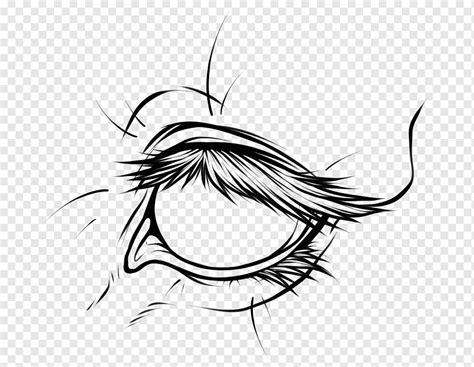 Olho De Cavalo Desenho - Desenho De Olhos De Cavalo