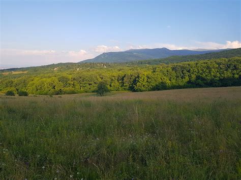 местност Бонсови поляни - параклис Вси Светии | Фото Галерия | Trips ...