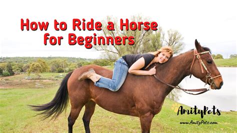 How To Ride A Horse For Beginners Tips You Need To Know Before You