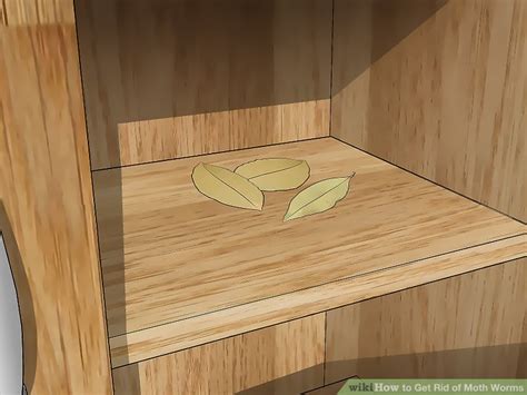 3 Ways to Get Rid of Moth Worms - wikiHow