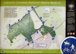 Ashtead Common Facts for Kids