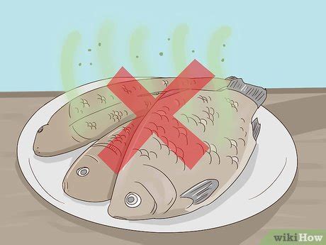 What Happens If You Eat Fish Gone Bad Qaqooking Wiki