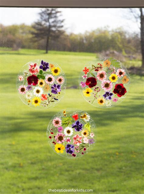 Pressed Flower Suncatcher The Best Ideas For Kids