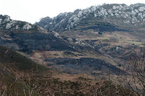 Los Incendios Forestales En Asturias Siguen Sin Dar Tregua El