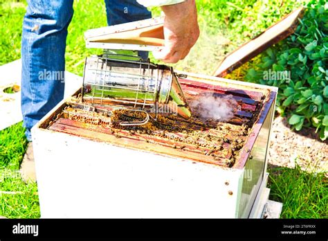 A Bee Hive Box Being Smoked To Calm The Worker Bees And Encourage Them