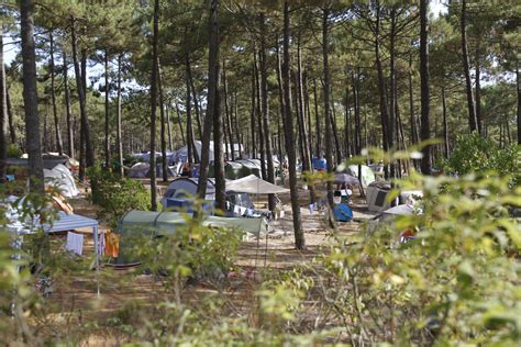 Camping De L Oc An Carcans Gironde Site Officiel