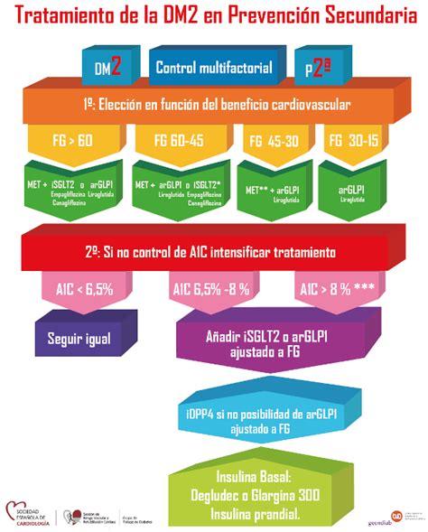 Nuevos Algoritmos Tratamiento Diabetes Tipo 2 En España Live Med