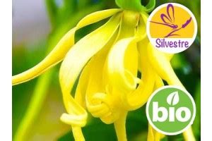 Aceite Esencial De Ylang Ylang Completo Totum Silvestre BIO